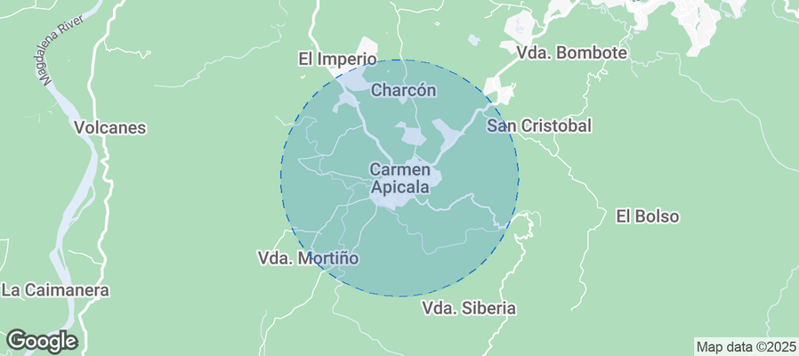 Discover Carmen Apicala Airbnb Analytics